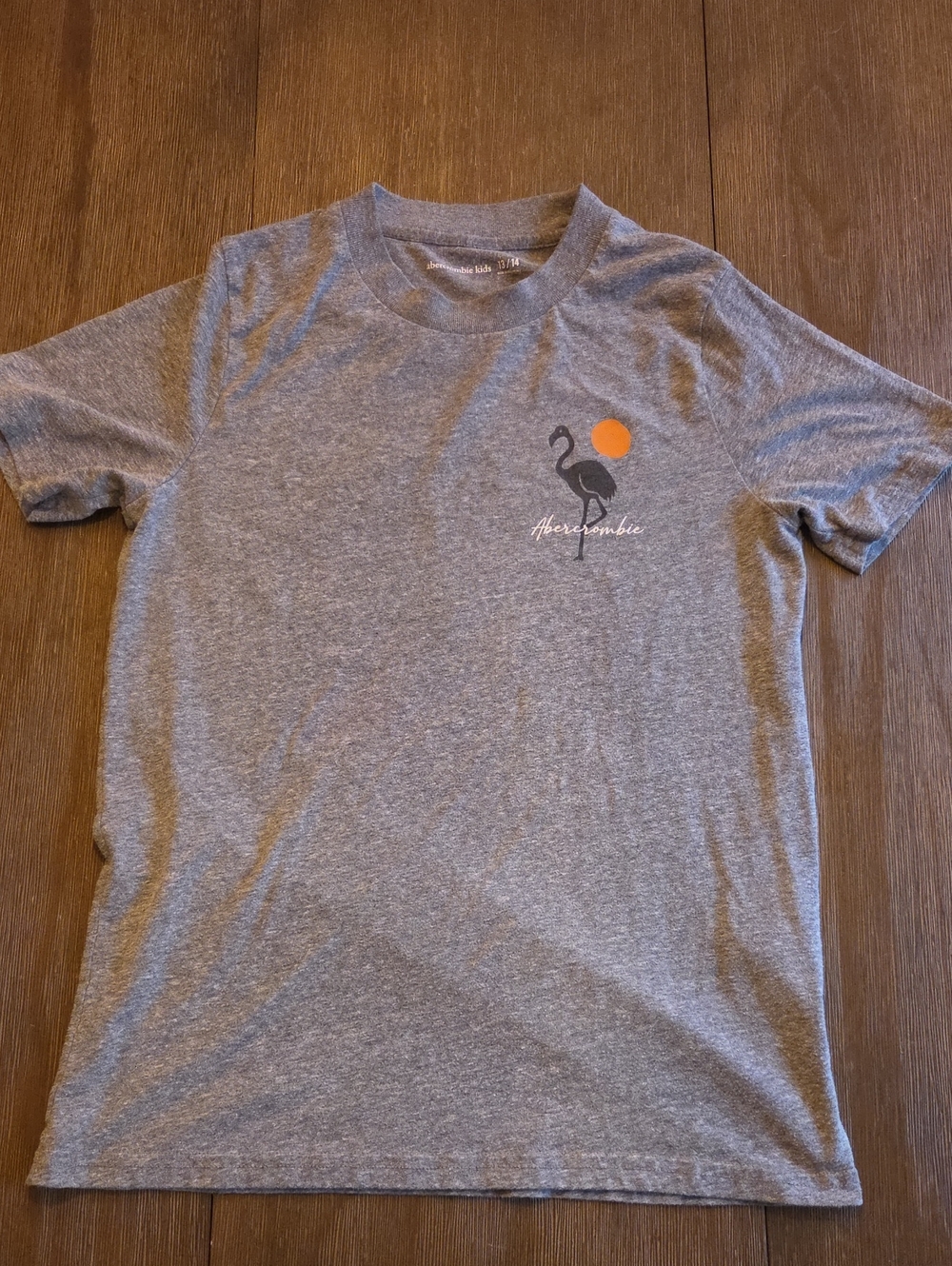 Abercrombie Kids Sz 13 / 14 Gray Tee with Flamingo and Orange Sun